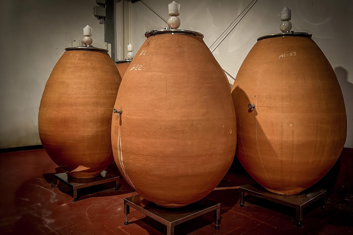costa cellar
