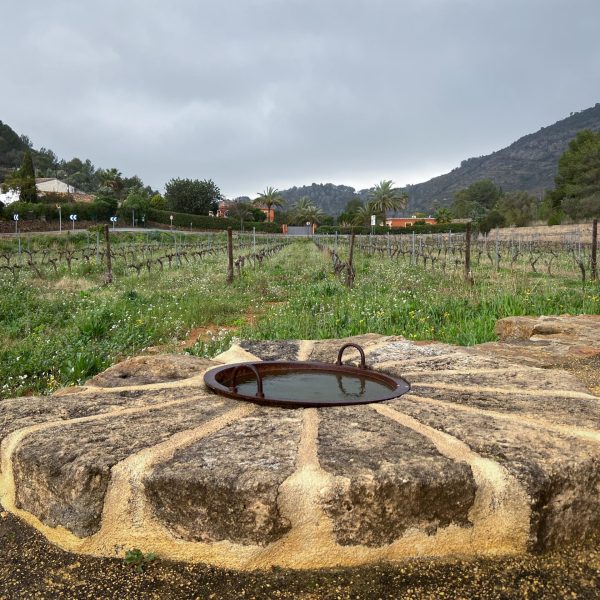 costa cellar